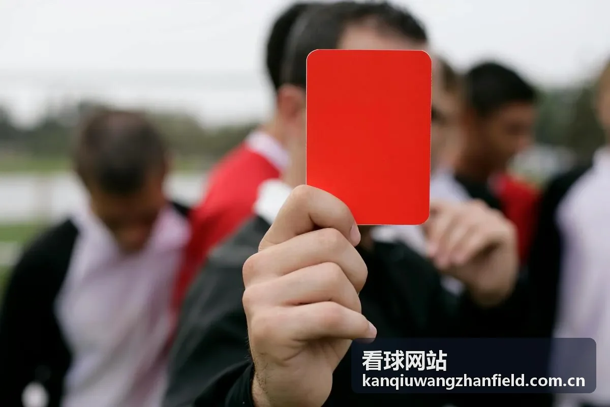 看球网站西甲联赛直播封面